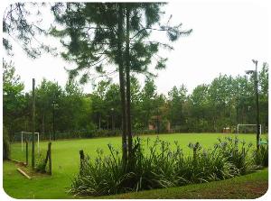 Cancha de fútbol 7