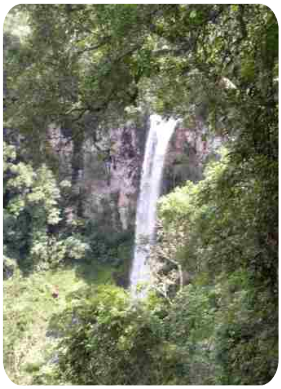 Vista del Salto Encantado desde un sendero.